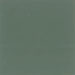 Muted Green