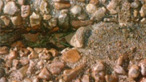 Exposed Aggregate Filler