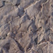 Roman Slate