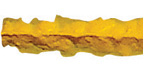 Texture Strip