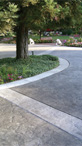 Textured Driveway